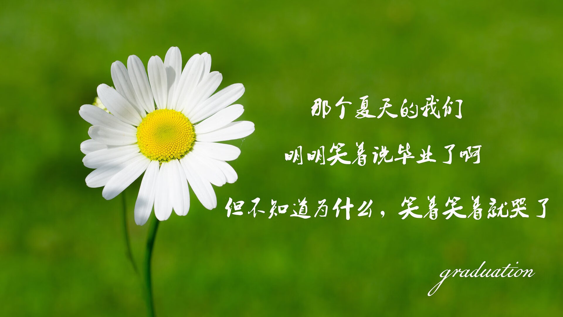 巴黎圣日尔曼豪掷千万引进德甲锋霸，巴黎圣日尔曼全队合照