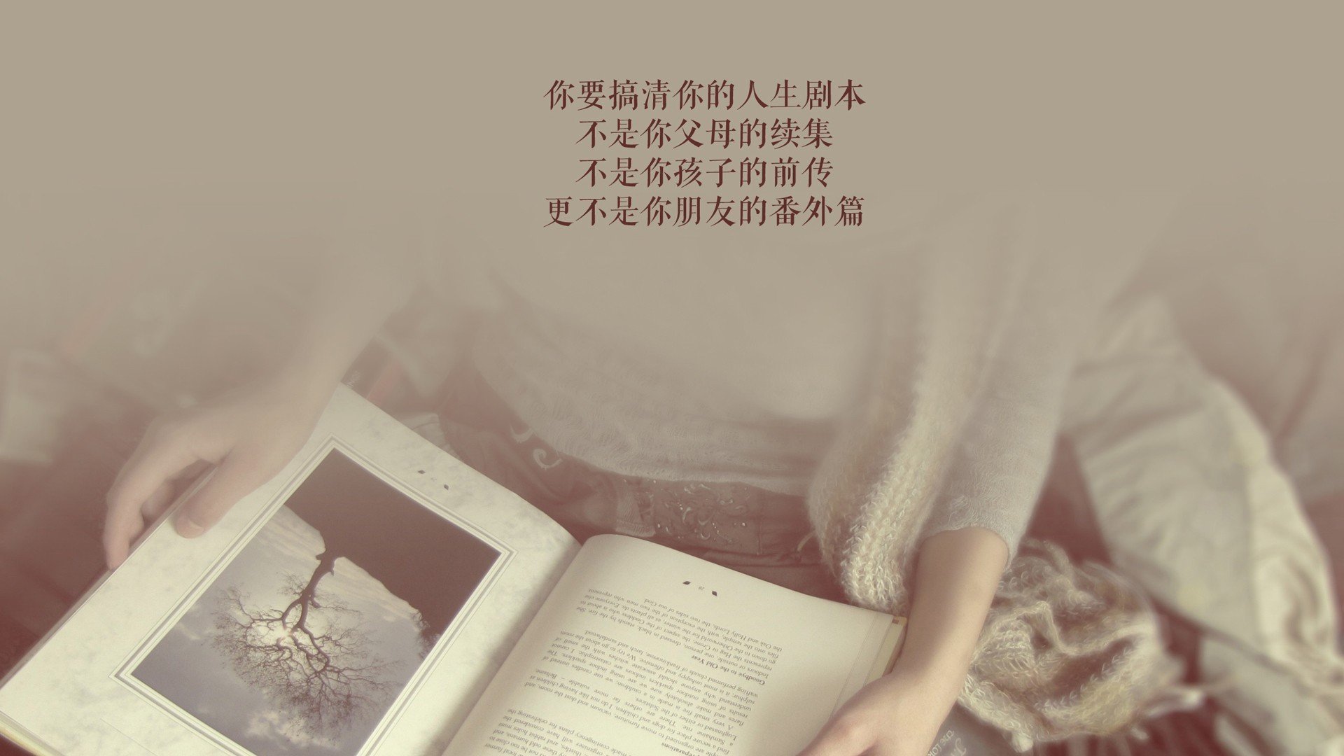 最激动人心的“决赛瞬间”，欧洲足球的巅峰之战，欧洲足球联赛冠军
