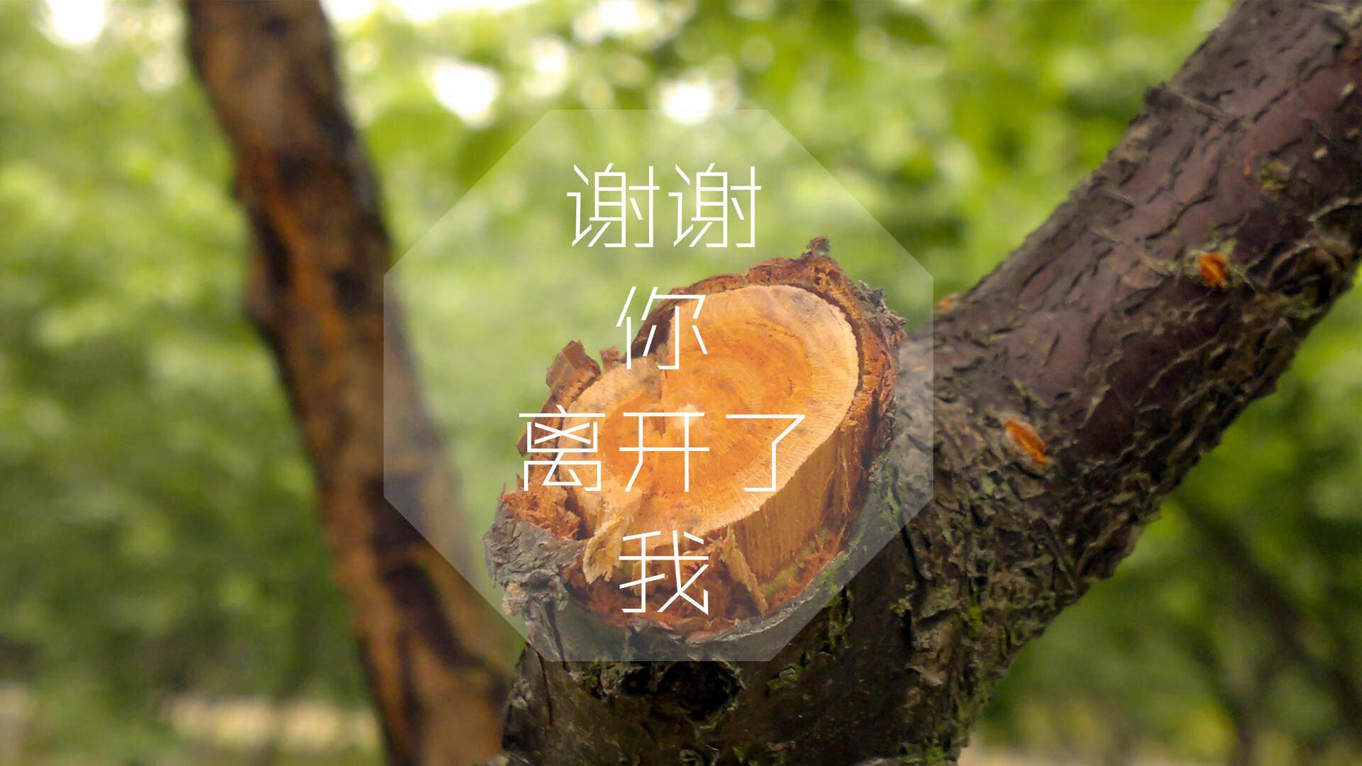 未来“足球天皇”崭露头角，闪耀欧冠，足坛未来十大巨星