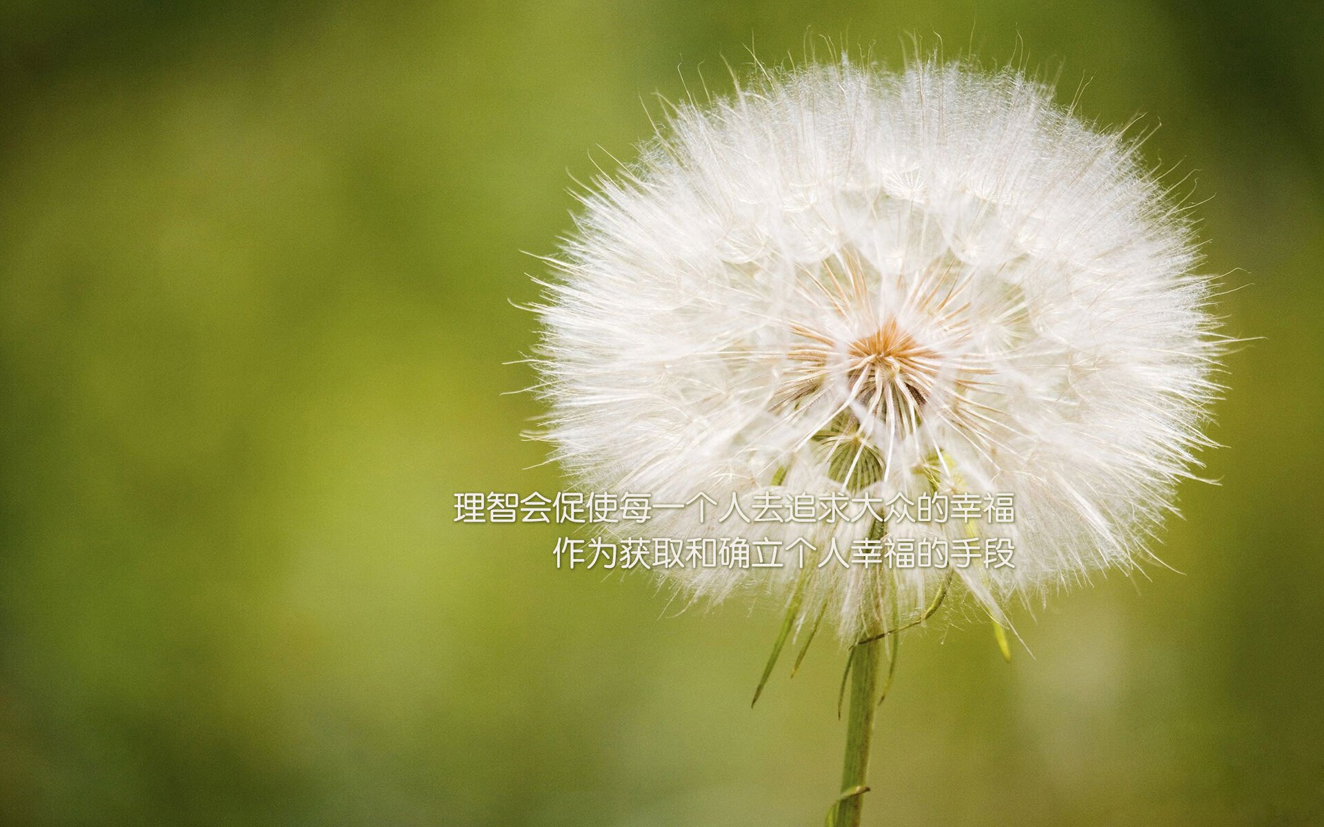 -青少年足球培训加盟连锁快速发展，行业格局逐步成型，青少年足球训练中心