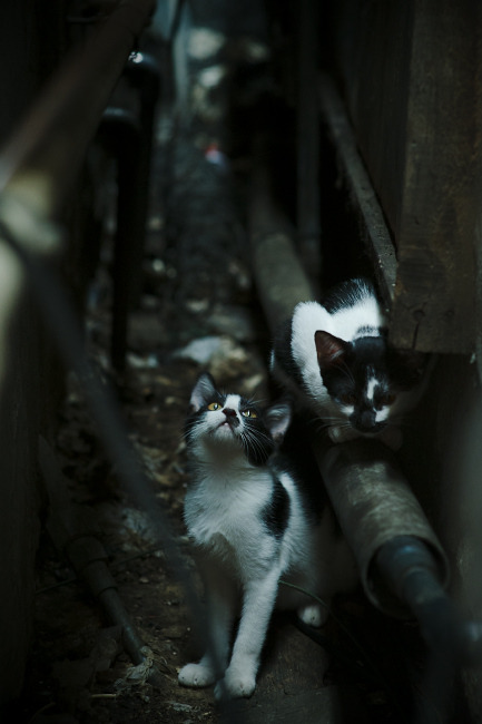 国民队战术调整助力重要胜利,国民党足球