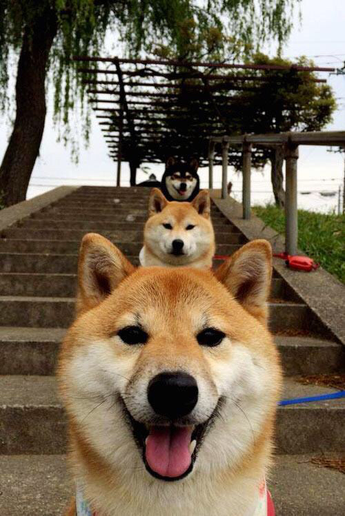 斯图加特球员集中训练,备战下场比赛,斯图加特青训