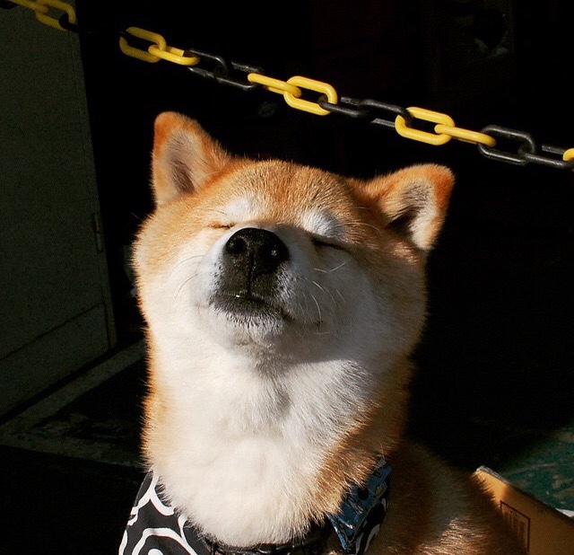 世俱杯决赛前瞻:谁将捧起冠军奖杯?,世俱杯决赛北京时间