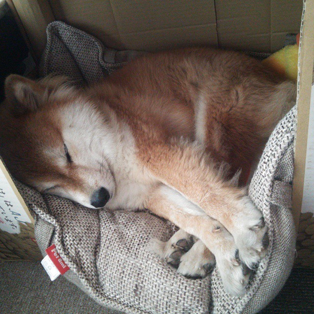 体育教学资源信息化开发现状分析,体育信息化教学分析和建议