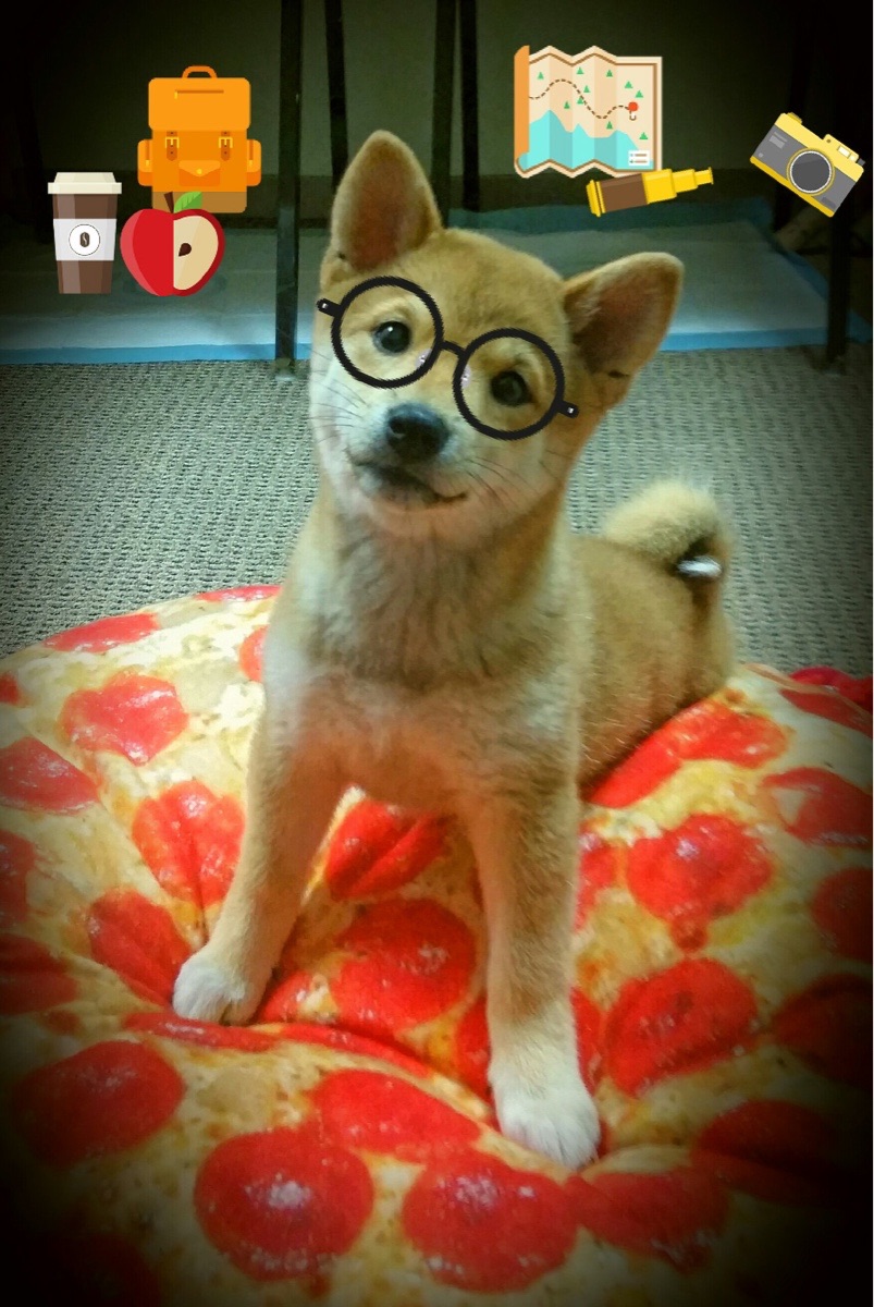 意甲球队基于心率变异性优化训练负荷管理,运动员心率变异性