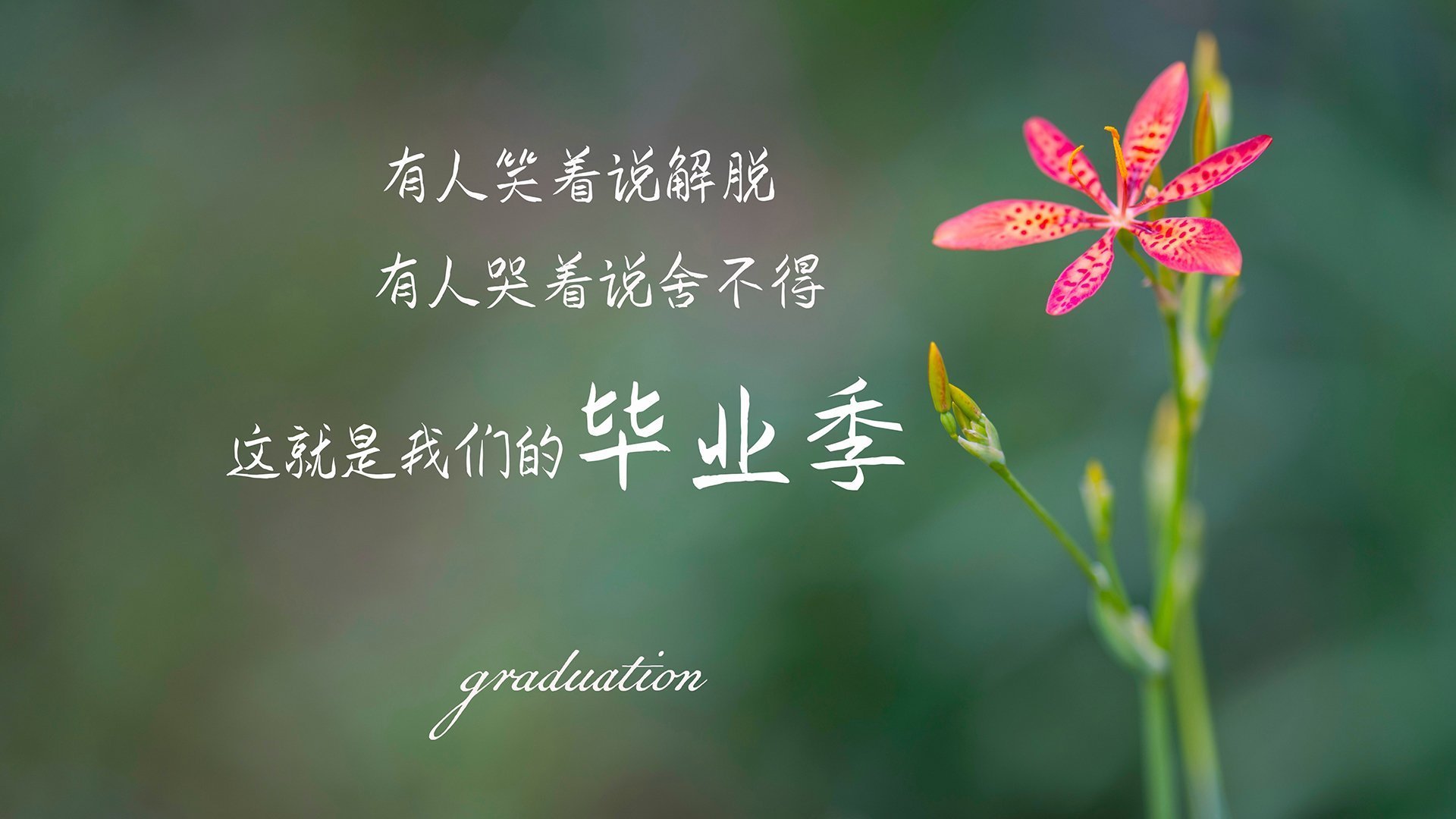 篮球比赛中战术变化对比赛结果影响的实证分析,篮球战术分析怎么写