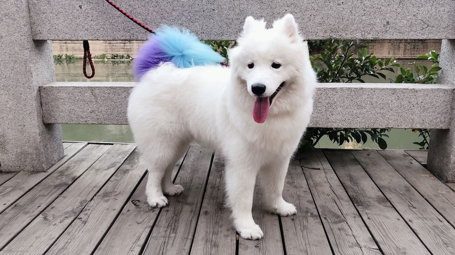 中国女篮表现突出 多次获胜展现实力,中国女篮虽败犹荣