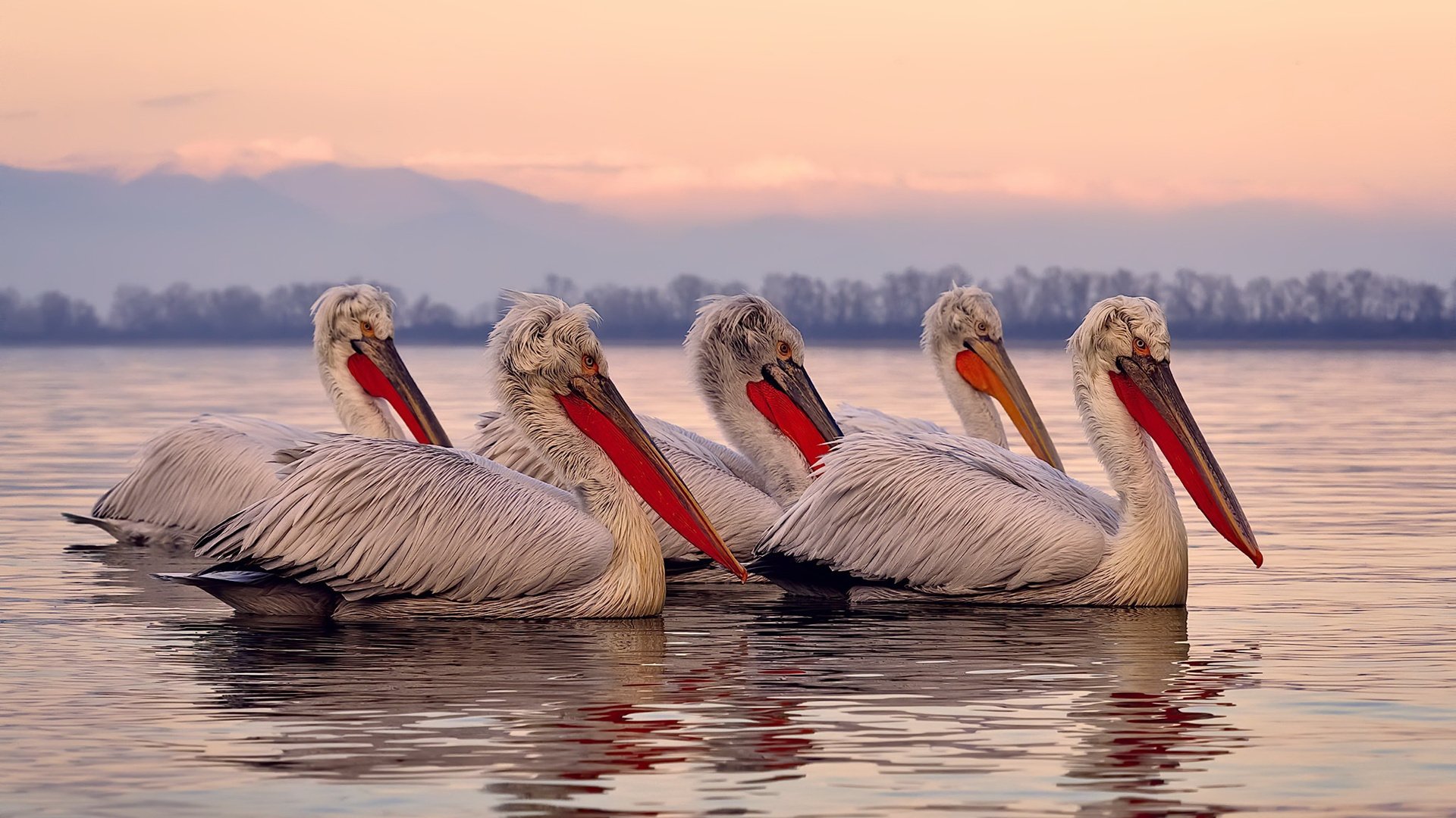 中国香港队在国际乒联混合团体世界杯中的突破与表现分析,香港乒乓球队和大陆一起训练