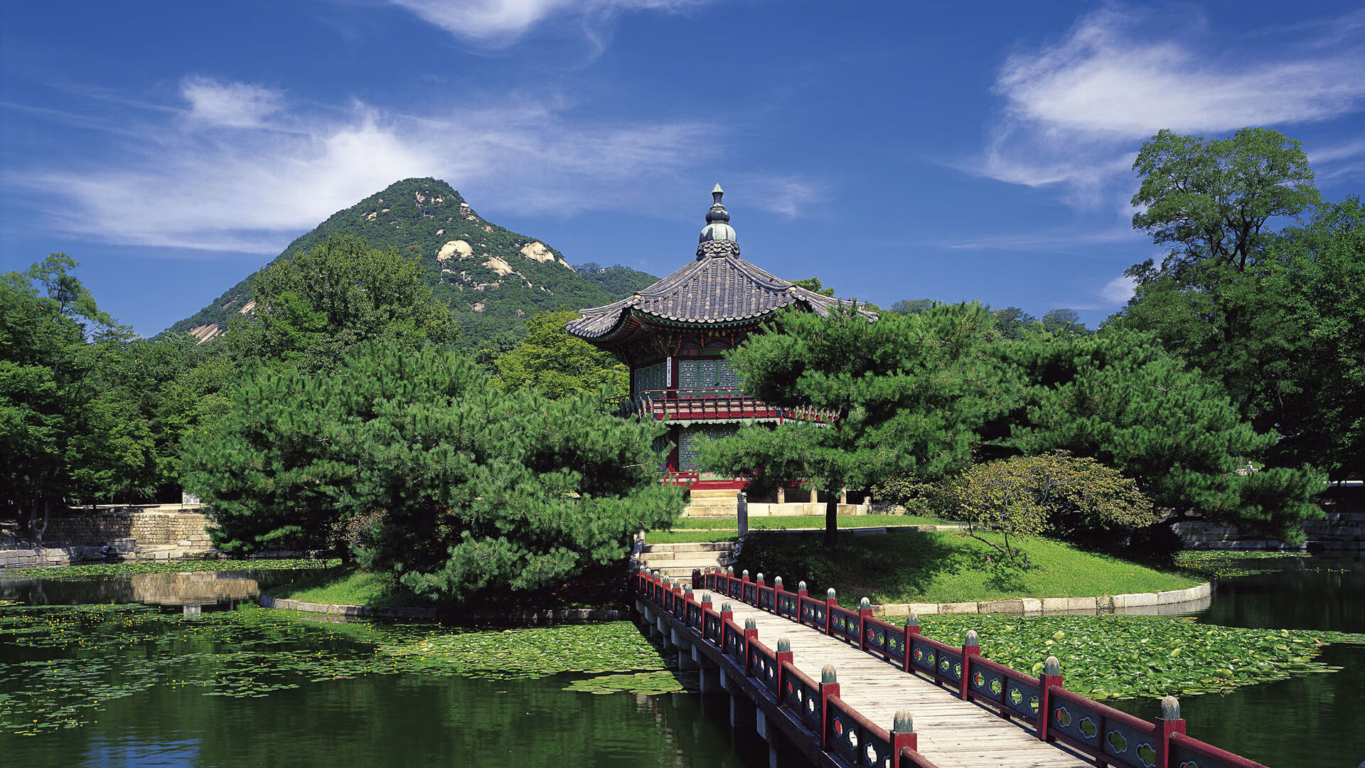 体育新闻中心发布体育赛事直播质量优化方案,体育直播技术方案