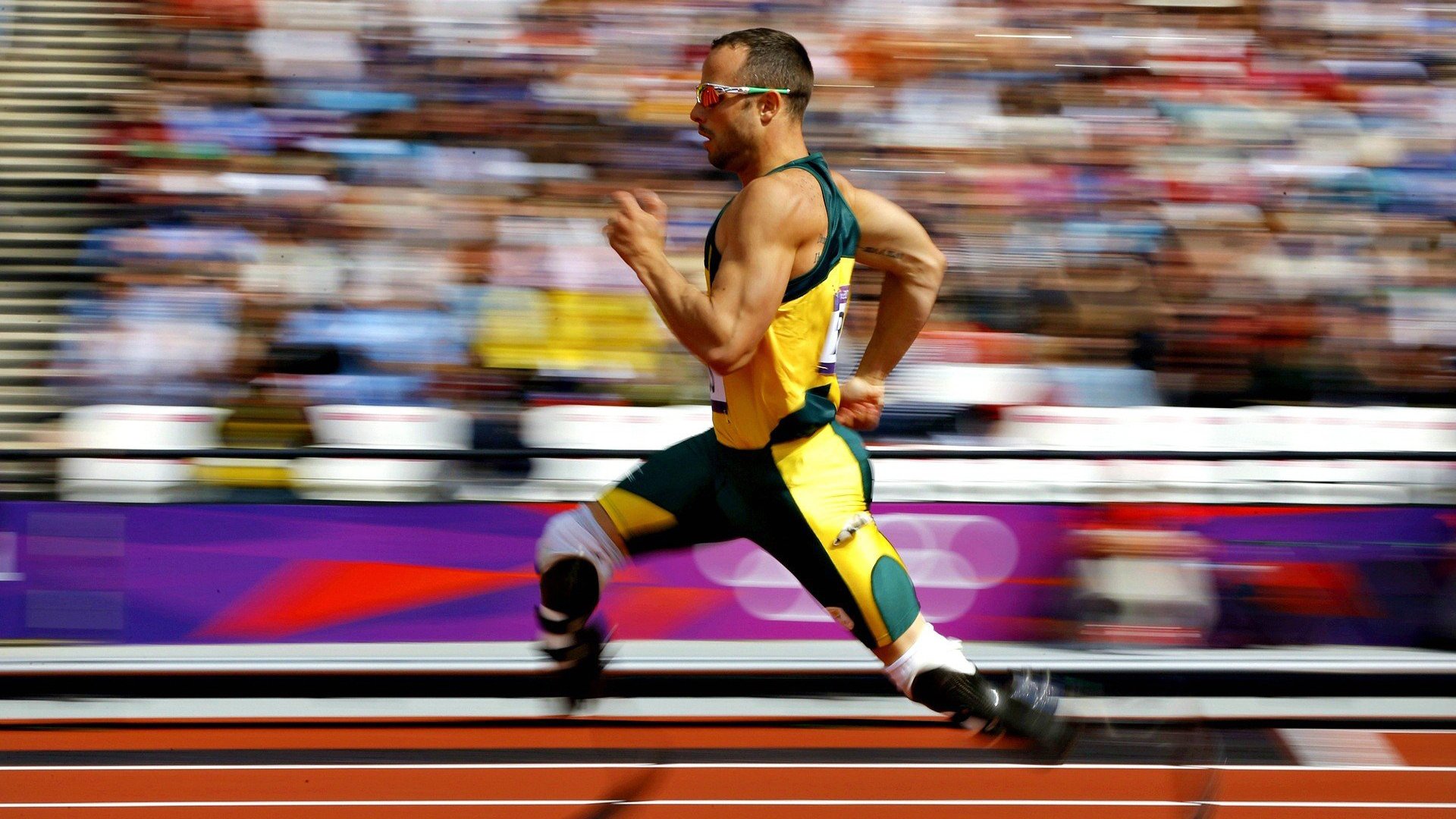 举办瑜伽行业论坛,探讨发展方向,开展瑜伽